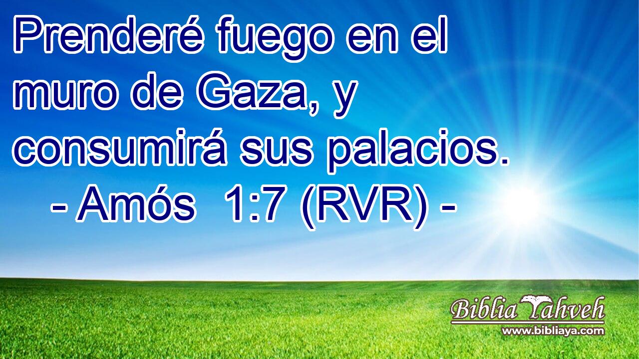 Prenderé fuego en el muro de Gaza, y consumirá sus palacios.