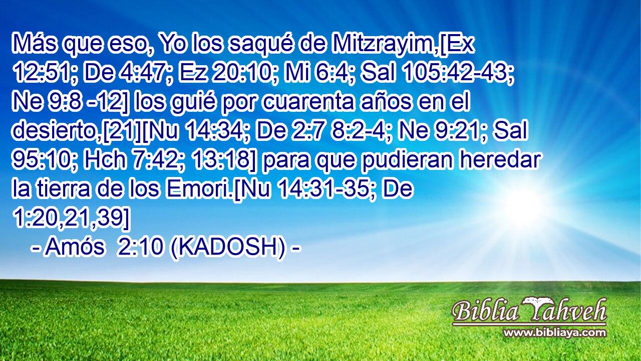  Más que eso, Yo los saqué de Mitzrayim,[Ex 12:51; De 4:47; Ez 20:10; Mi 6:4; Sal 105:42-43; Ne 9:8 -12] los guié por cuarenta años en el desierto,[21][Nu 14:34; De 2:7 8:2-4; Ne 9:21; Sal 95:10; Hch 7:42; 13:18] para que pudieran heredar la tierra de los Emori.[Nu 14:31-35; De 1:20,21,39] 
