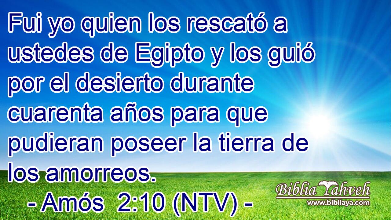 Fui yo quien los rescató a ustedes de Egipto y los guió por el desierto durante cuarenta años para que pudieran poseer la tierra de los amorreos.