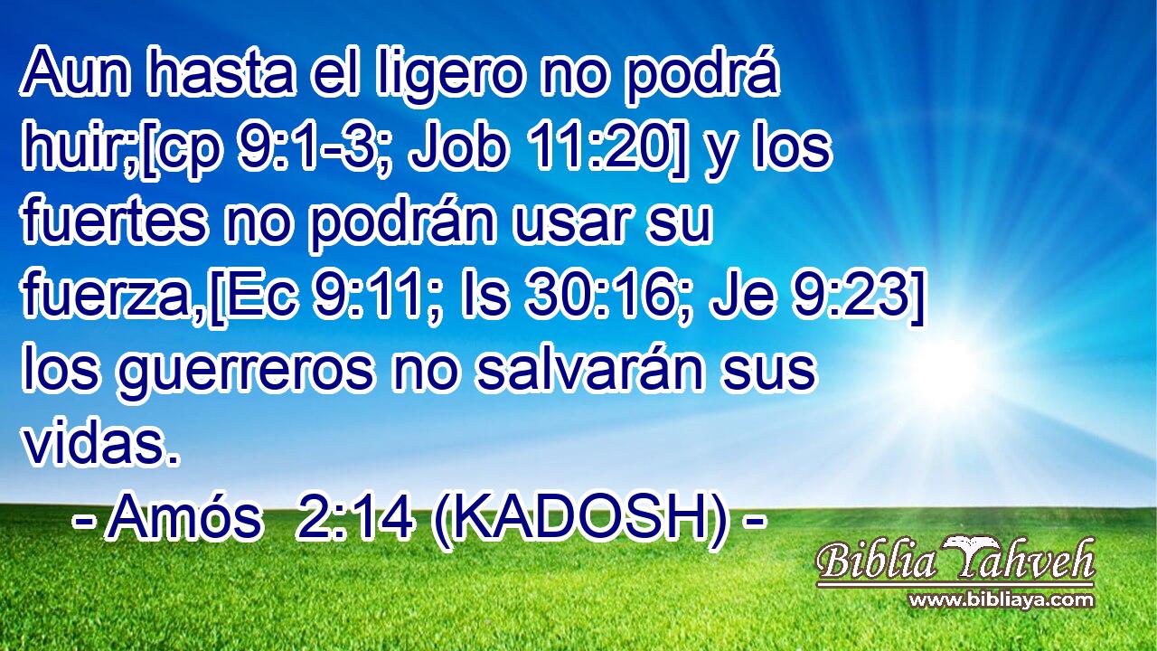  Aun hasta el ligero no podrá huir;[cp 9:1-3; Job 11:20] y los fuertes no podrán usar su fuerza,[Ec 9:11; Is 30:16; Je 9:23] los guerreros no salvarán sus vidas. 