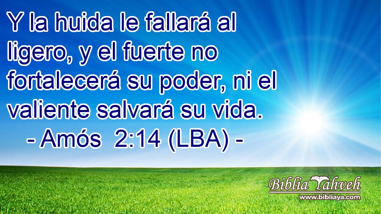 Y la huida le fallará al ligero, y el fuerte no fortalecerá su poder, ni el valiente salvará su vida.