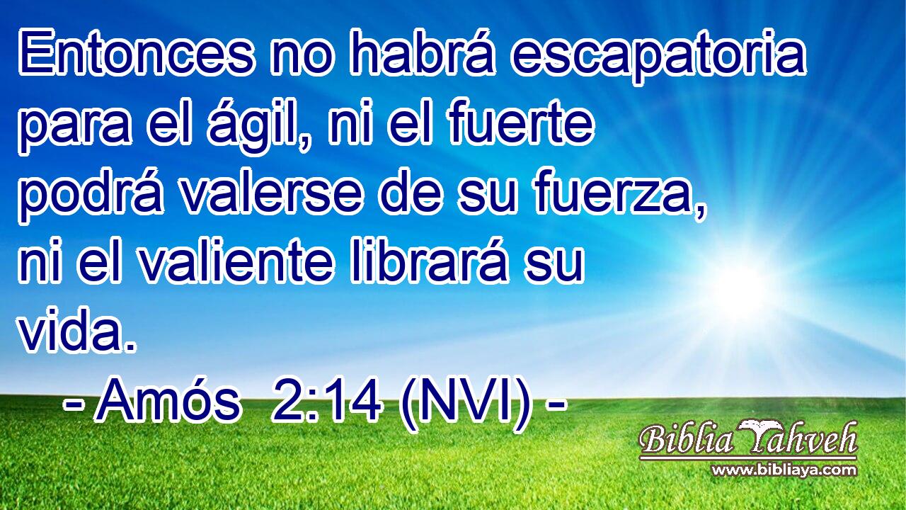  Entonces no habrá escapatoria para el ágil, ni el fuerte podrá valerse de su fuerza, ni el valiente librará su vida. 