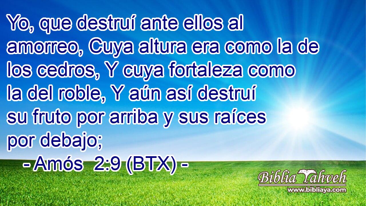 Yo, que destruí ante ellos al amorreo, Cuya altura era como la de los cedros, Y cuya fortaleza como la del roble, Y aún así destruí su fruto por arriba y sus raíces por debajo;