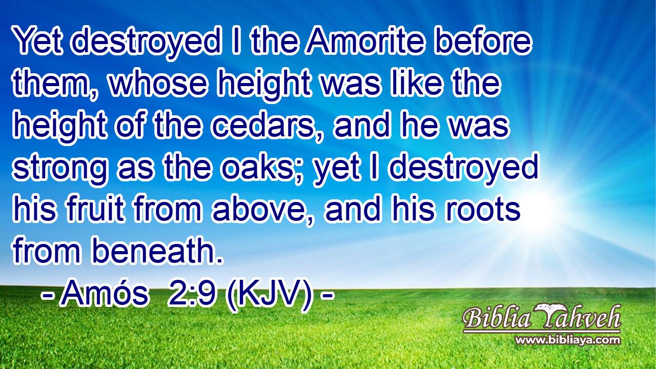 Yet destroyed I the Amorite before them, whose height was like the height of the cedars, and he was strong as the oaks; yet I destroyed his fruit from above, and his roots from beneath.