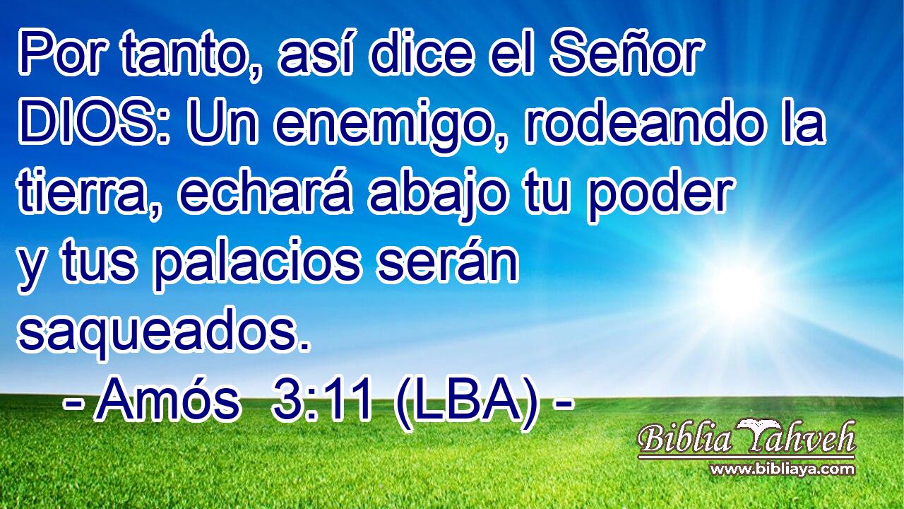 Por tanto, así dice el Señor DIOS: Un enemigo, rodeando la tierra, echará abajo tu poder y tus palacios serán saqueados.