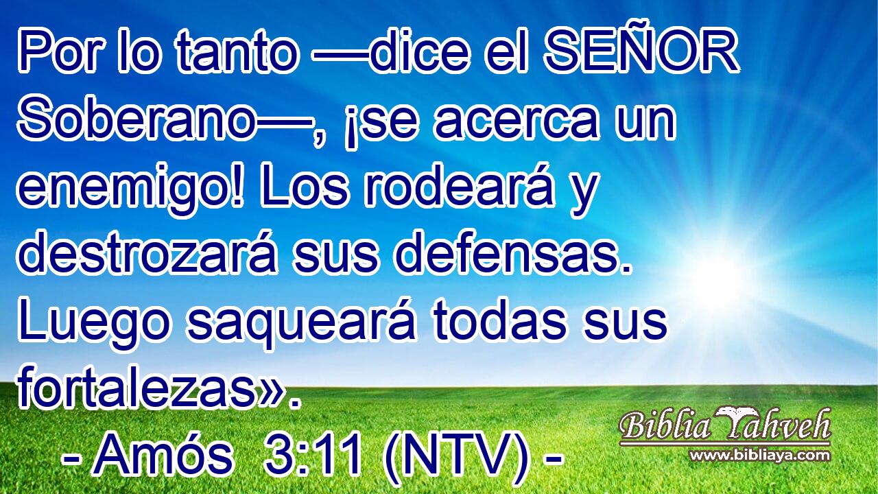Por lo tanto —dice el SEÑOR Soberano—, ¡se acerca un enemigo! Los rodeará y destrozará sus defensas. Luego saqueará todas sus fortalezas».