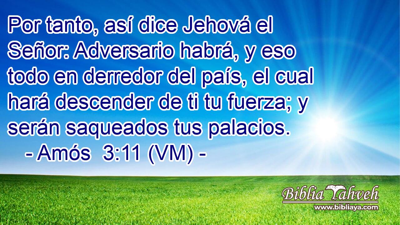  Por tanto, así dice Jehová el Señor: Adversario habrá, y eso todo en derredor del país, el cual hará descender de ti tu fuerza; y serán saqueados tus palacios. 