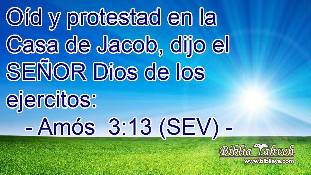 Oíd y protestad en la Casa de Jacob, dijo el SEÑOR Dios de los ejercitos: