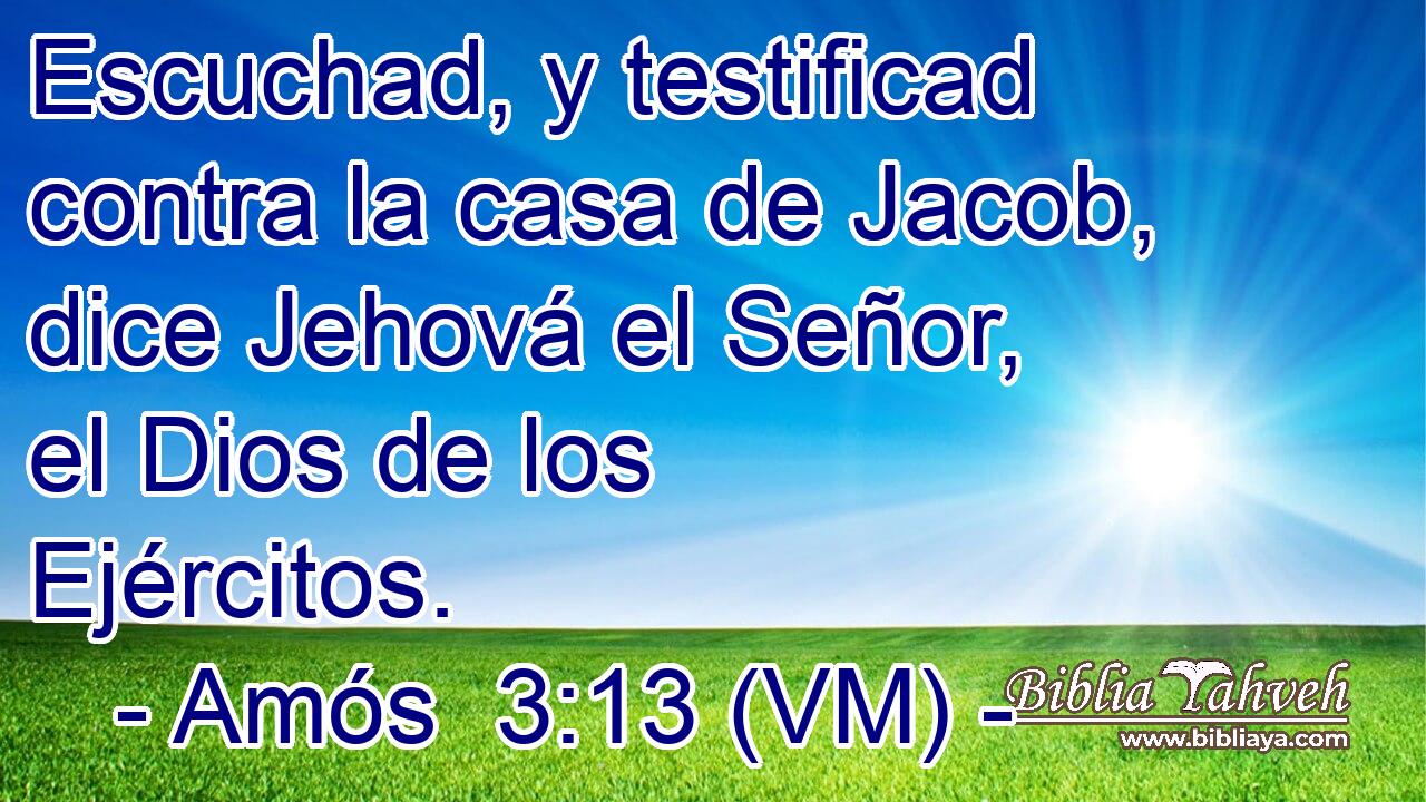  Escuchad, y testificad contra la casa de Jacob, dice Jehová el Señor, el Dios de los Ejércitos. 