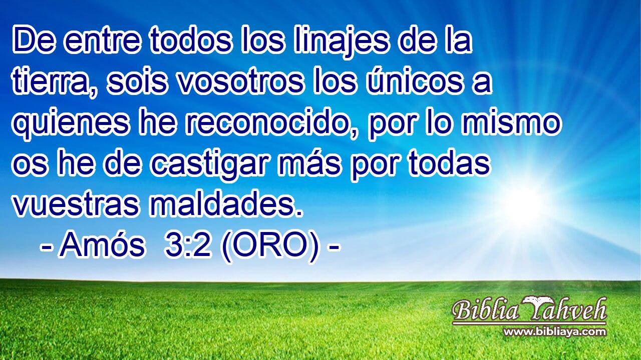  De entre todos los linajes de la tierra, sois vosotros los únicos a quienes he reconocido, por lo mismo os he de castigar más por todas vuestras maldades. 