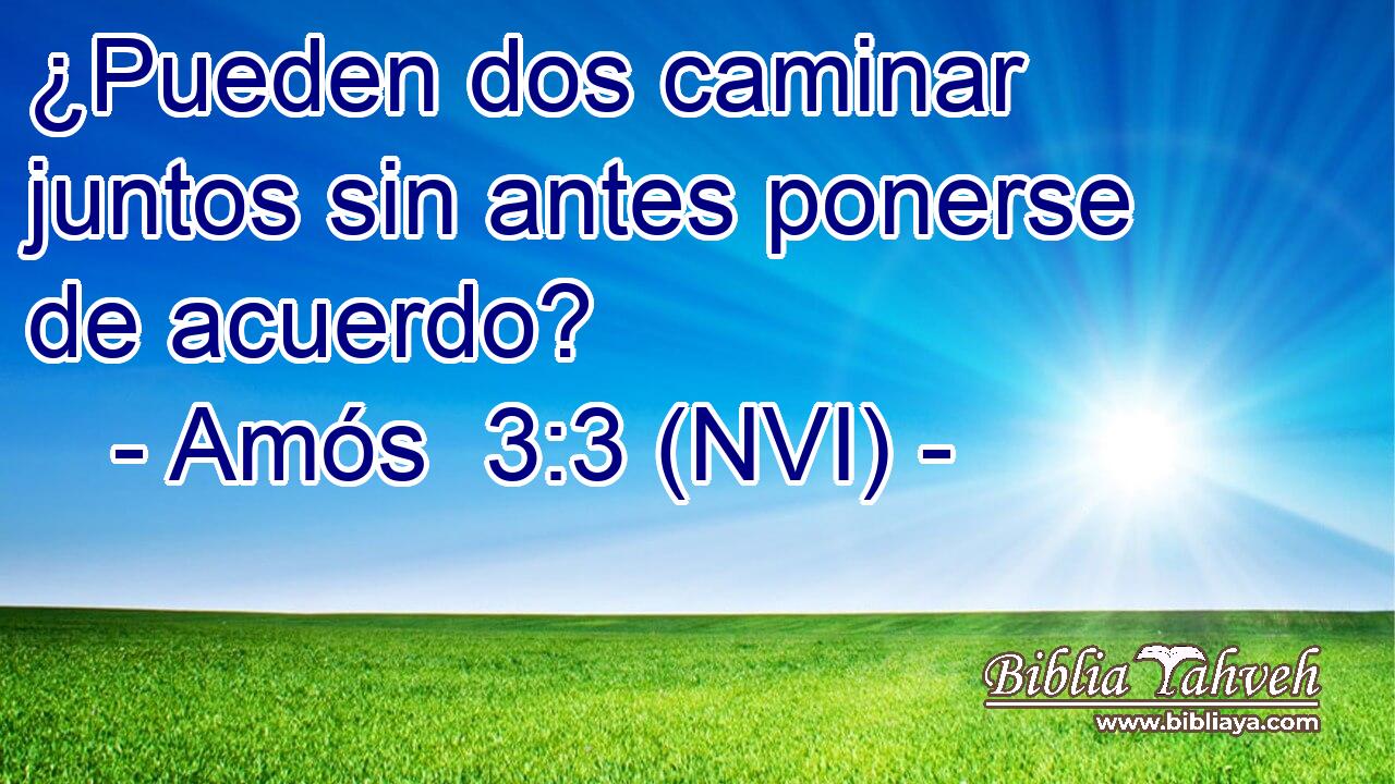  ¿Pueden dos caminar juntos sin antes ponerse de acuerdo? 