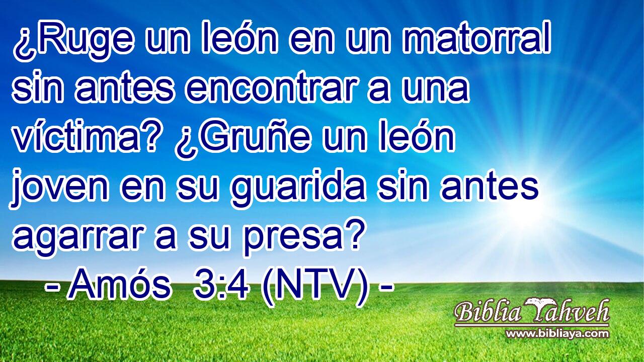 ¿Ruge un león en un matorral sin antes encontrar a una víctima? ¿Gruñe un león joven en su guarida sin antes agarrar a su presa?