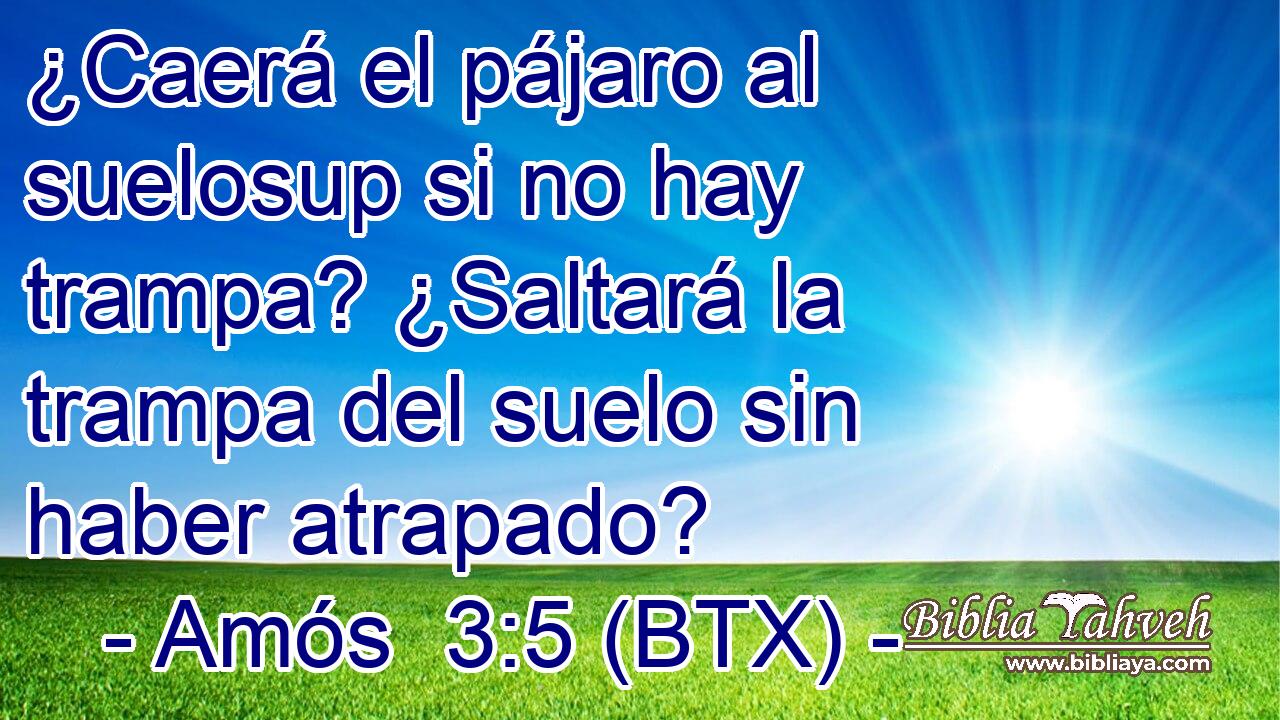 ¿Caerá el pájaro al suelosup si no hay trampa? ¿Saltará la trampa del suelo sin haber atrapado?