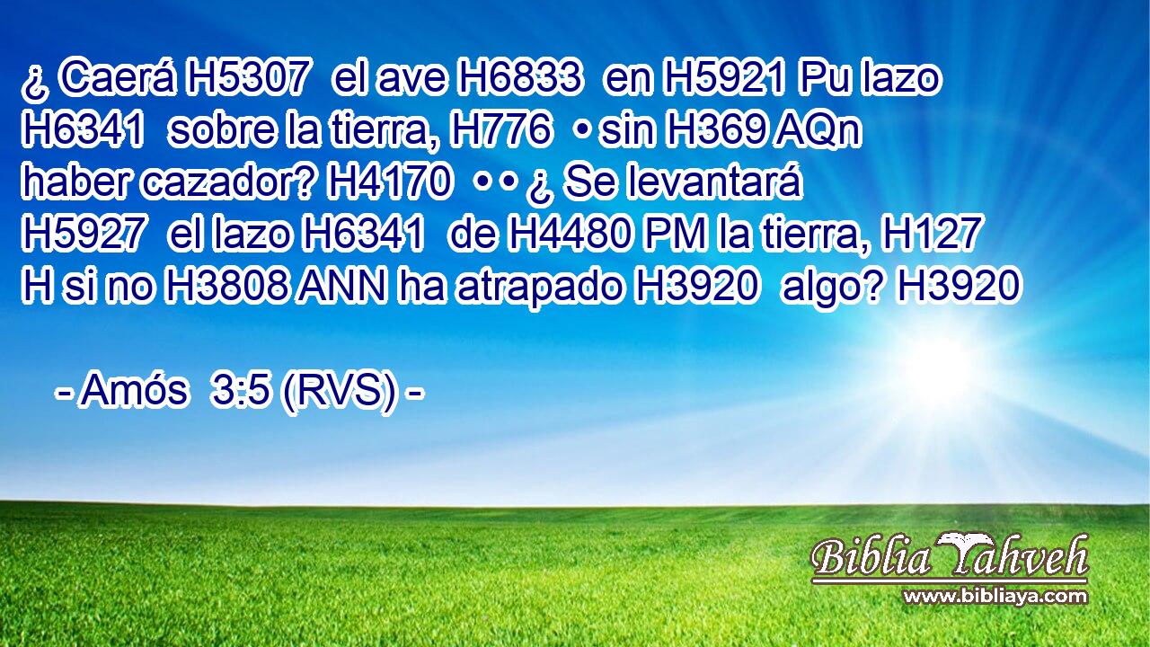 ¿ Caerá H5307  el ave H6833  en H5921 Pu lazo H6341  sobre la tierra, H776  • sin H369 AQn haber cazador? H4170  • • ¿ Se levantará H5927  el lazo H6341  de H4480 PM la tierra, H127 H si no H3808 ANN ha atrapado H3920  algo? H3920  