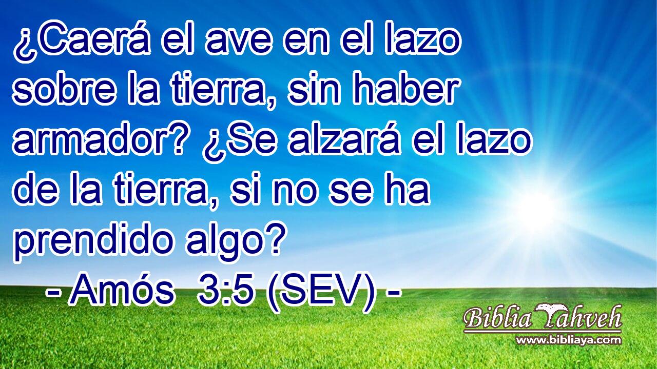 ¿Caerá el ave en el lazo sobre la tierra, sin haber armador? ¿Se alzará el lazo de la tierra, si no se ha prendido algo?
