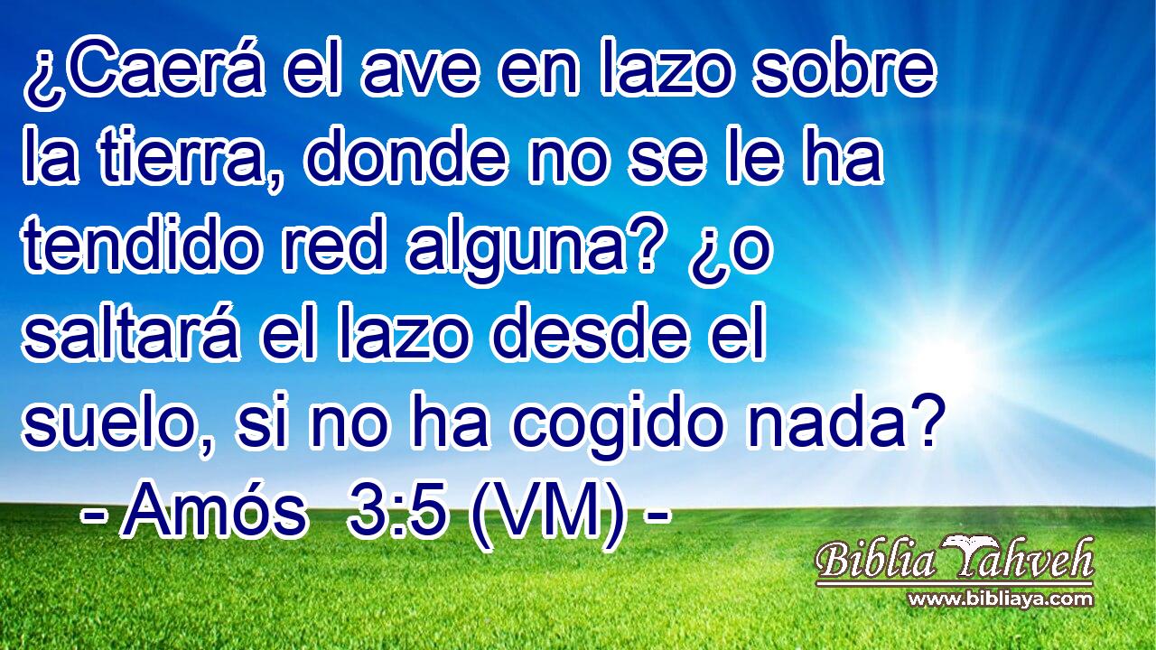  ¿Caerá el ave en lazo sobre la tierra, donde no se le ha tendido red alguna? ¿o saltará el lazo desde el suelo, si no ha cogido nada? 