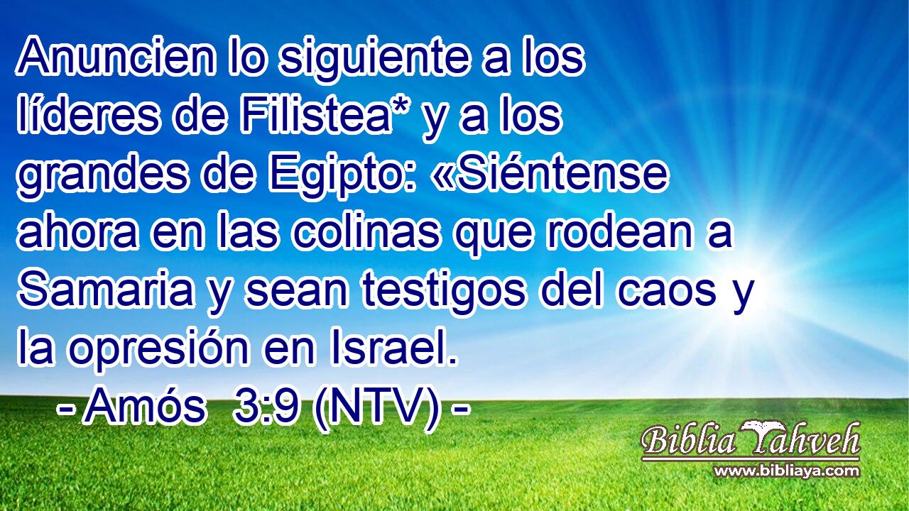 Anuncien lo siguiente a los líderes de Filistea* y a los grandes de Egipto: «Siéntense ahora en las colinas que rodean a Samaria y sean testigos del caos y la opresión en Israel.