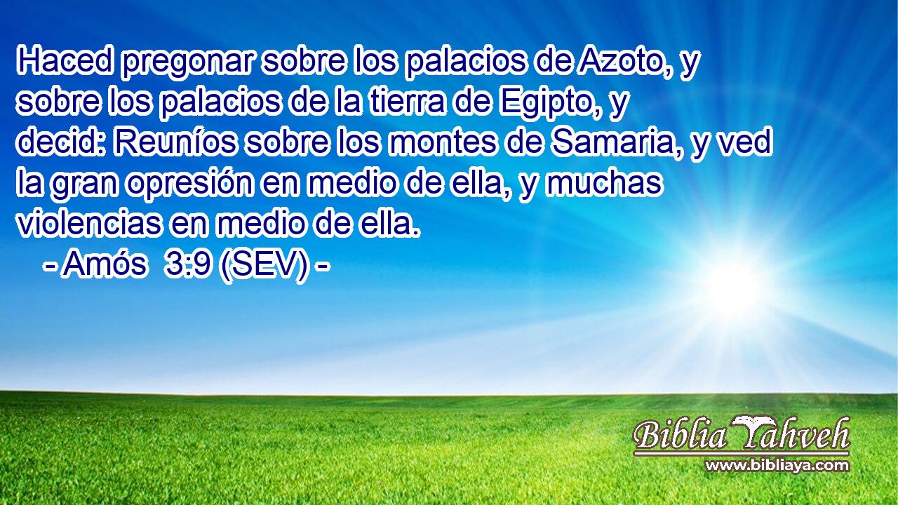 Haced pregonar sobre los palacios de Azoto, y sobre los palacios de la tierra de Egipto, y decid: Reuníos sobre los montes de Samaria, y ved la gran opresión en medio de ella, y muchas violencias en medio de ella.