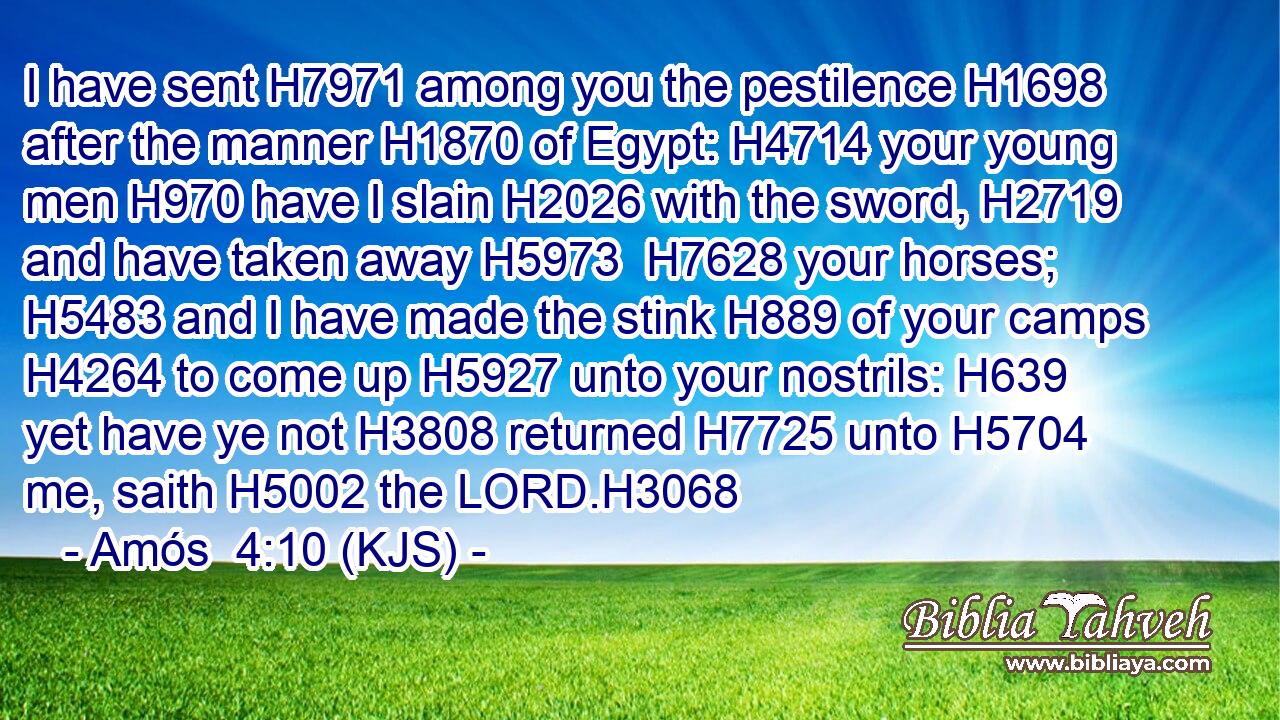I have sent H7971 among you the pestilence H1698 after the manner H1870 of Egypt: H4714 your young men H970 have I slain H2026 with the sword, H2719 and have taken away H5973  H7628 your horses; H5483 and I have made the stink H889 of your camps H4264 to come up H5927 unto your nostrils: H639 yet have ye not H3808 returned H7725 unto H5704 me, saith H5002 the LORD.H3068