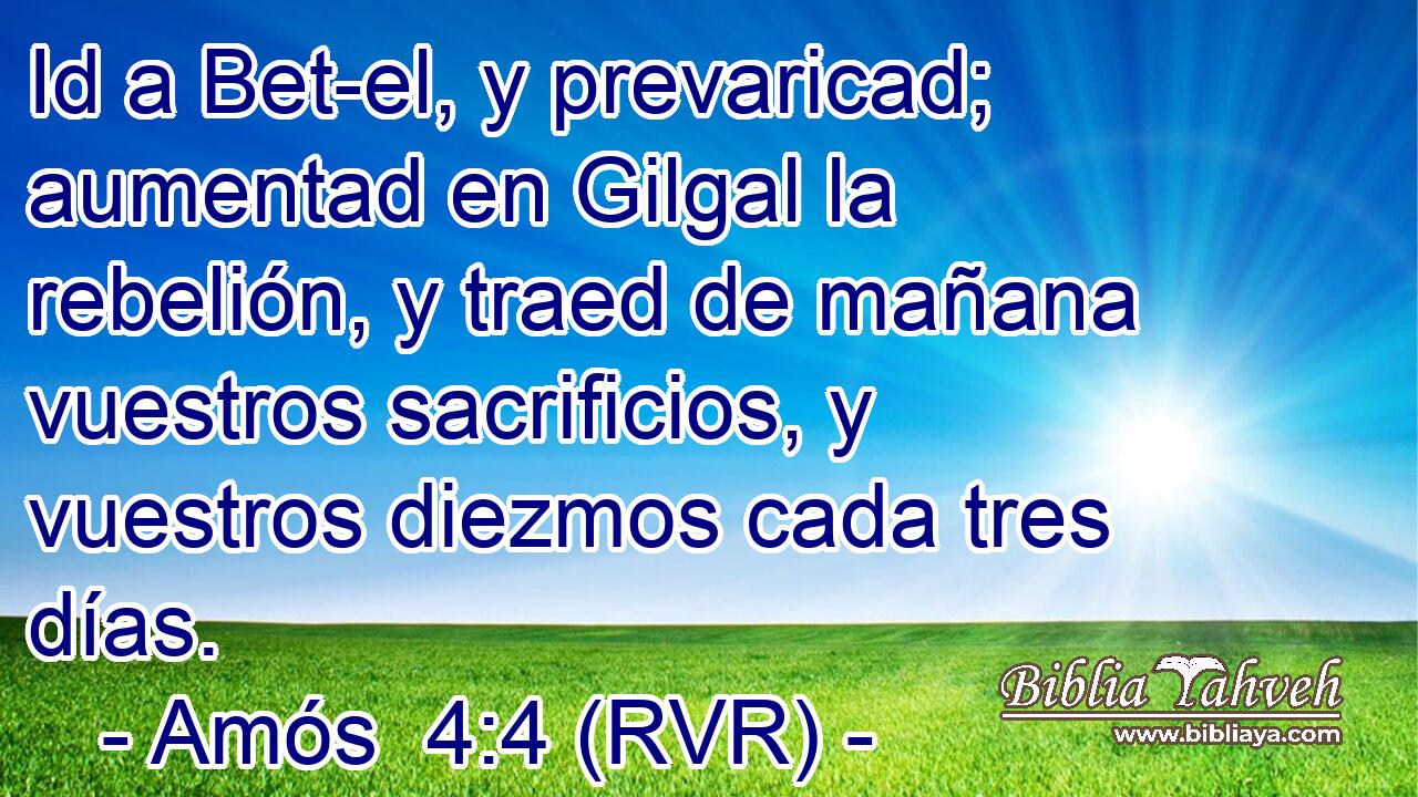 Id a Bet-el, y prevaricad; aumentad en Gilgal la rebelión, y traed de mañana vuestros sacrificios, y vuestros diezmos cada tres días.
