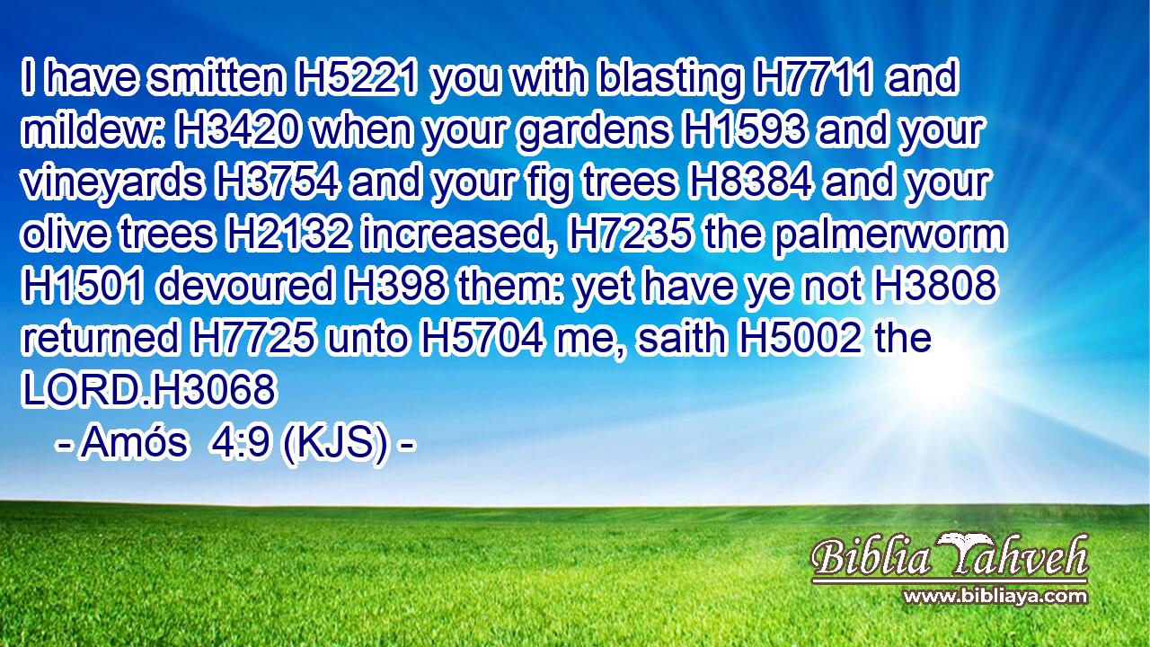 I have smitten H5221 you with blasting H7711 and mildew: H3420 when your gardens H1593 and your vineyards H3754 and your fig trees H8384 and your olive trees H2132 increased, H7235 the palmerworm H1501 devoured H398 them: yet have ye not H3808 returned H7725 unto H5704 me, saith H5002 the LORD.H3068