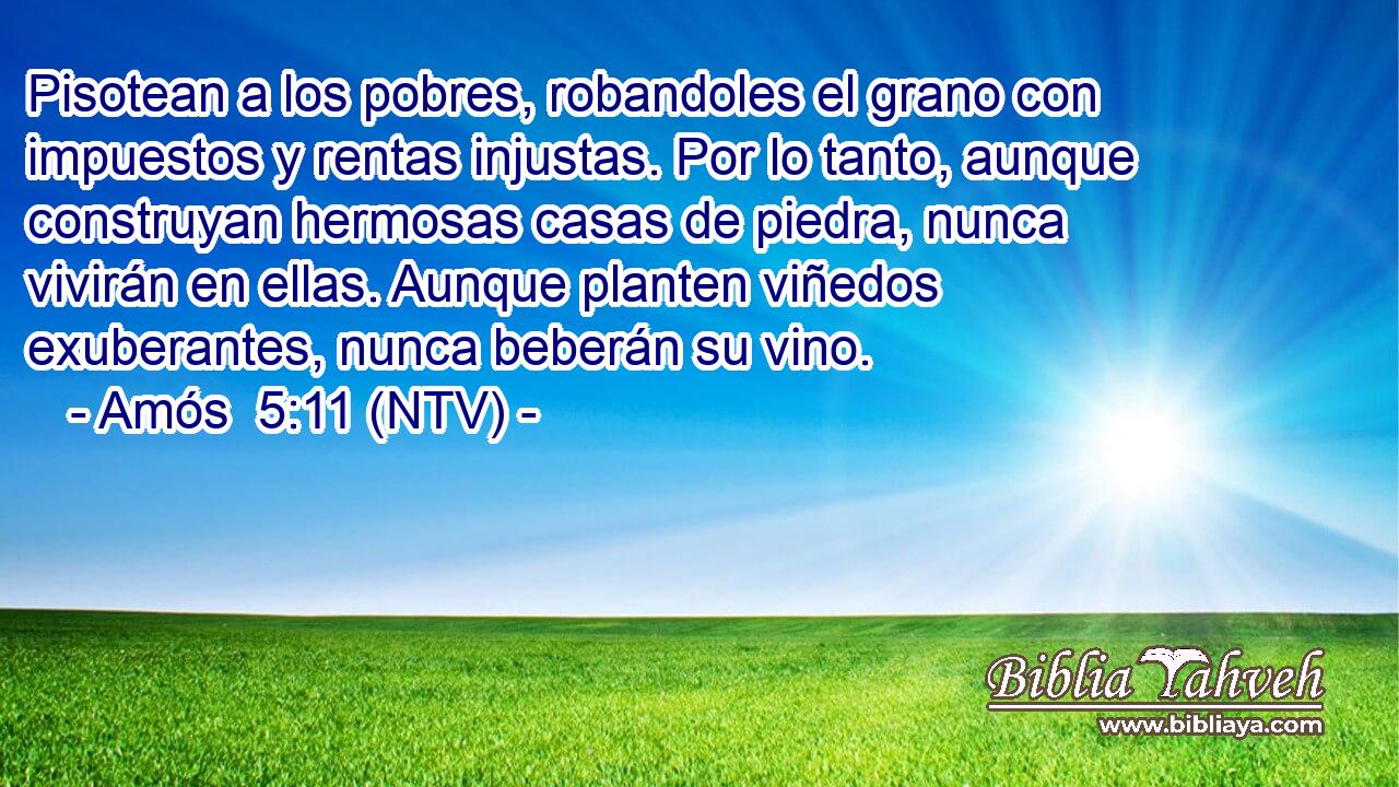 Pisotean a los pobres, robandoles el grano con impuestos y rentas injustas. Por lo tanto, aunque construyan hermosas casas de piedra, nunca vivirán en ellas. Aunque planten viñedos exuberantes, nunca beberán su vino.