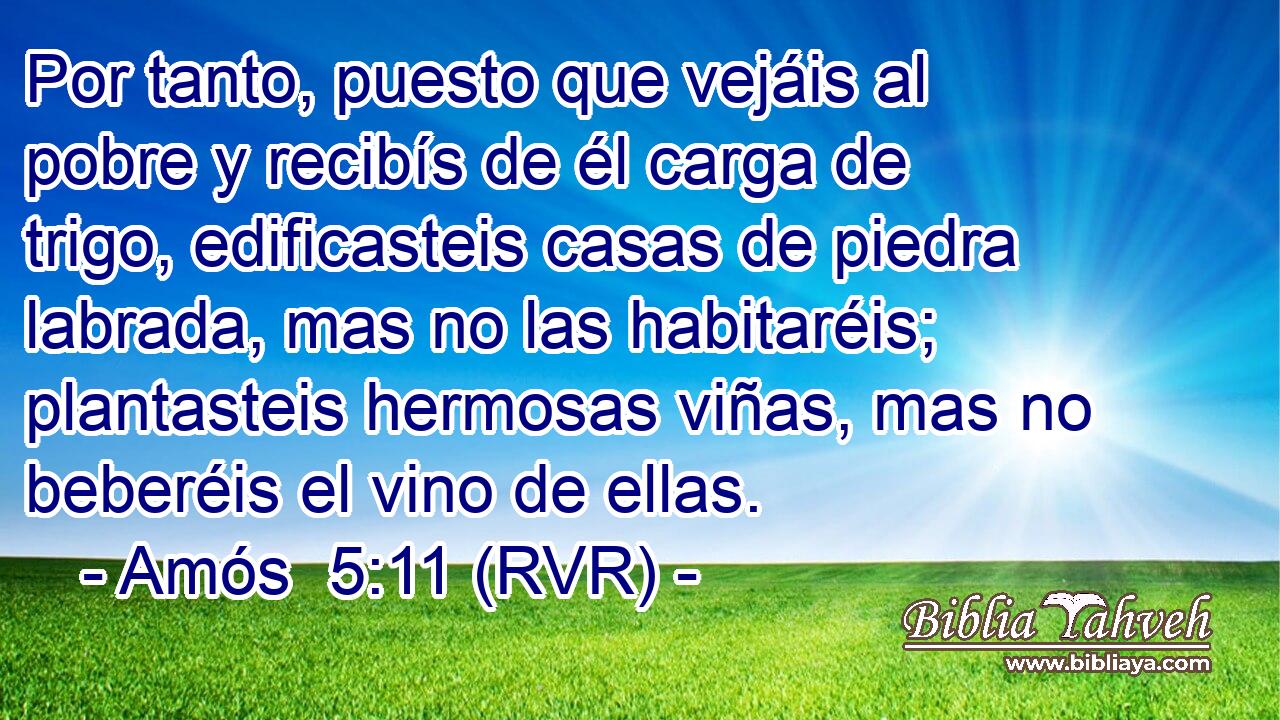 Por tanto, puesto que vejáis al pobre y recibís de él carga de trigo, edificasteis casas de piedra labrada, mas no las habitaréis; plantasteis hermosas viñas, mas no beberéis el vino de ellas.