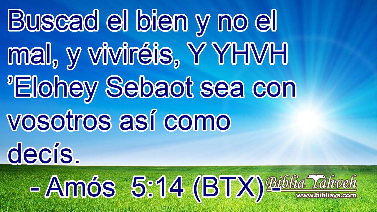 Buscad el bien y no el mal, y viviréis, Y YHVH ’Elohey Sebaot sea con vosotros así como decís.