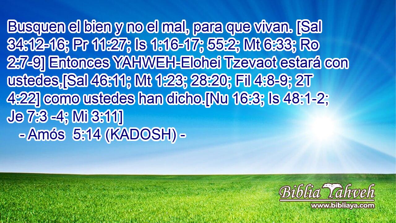  Busquen el bien y no el mal, para que vivan. [Sal 34:12-16; Pr 11:27; Is 1:16-17; 55:2; Mt 6:33; Ro 2:7-9] Entonces YAHWEH-Elohei Tzevaot estará con ustedes,[Sal 46:11; Mt 1:23; 28:20; Fil 4:8-9; 2T 4:22] como ustedes han dicho.[Nu 16:3; Is 48:1-2; Je 7:3 -4; Mi 3:11] 