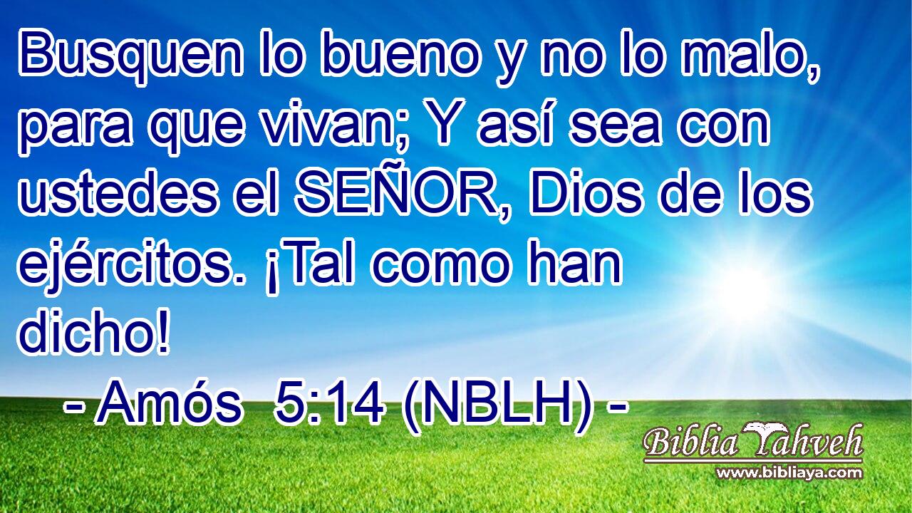  Busquen lo bueno y no lo malo, para que vivan; Y así sea con ustedes el SEÑOR, Dios de los ejércitos. ¡Tal como han dicho! 