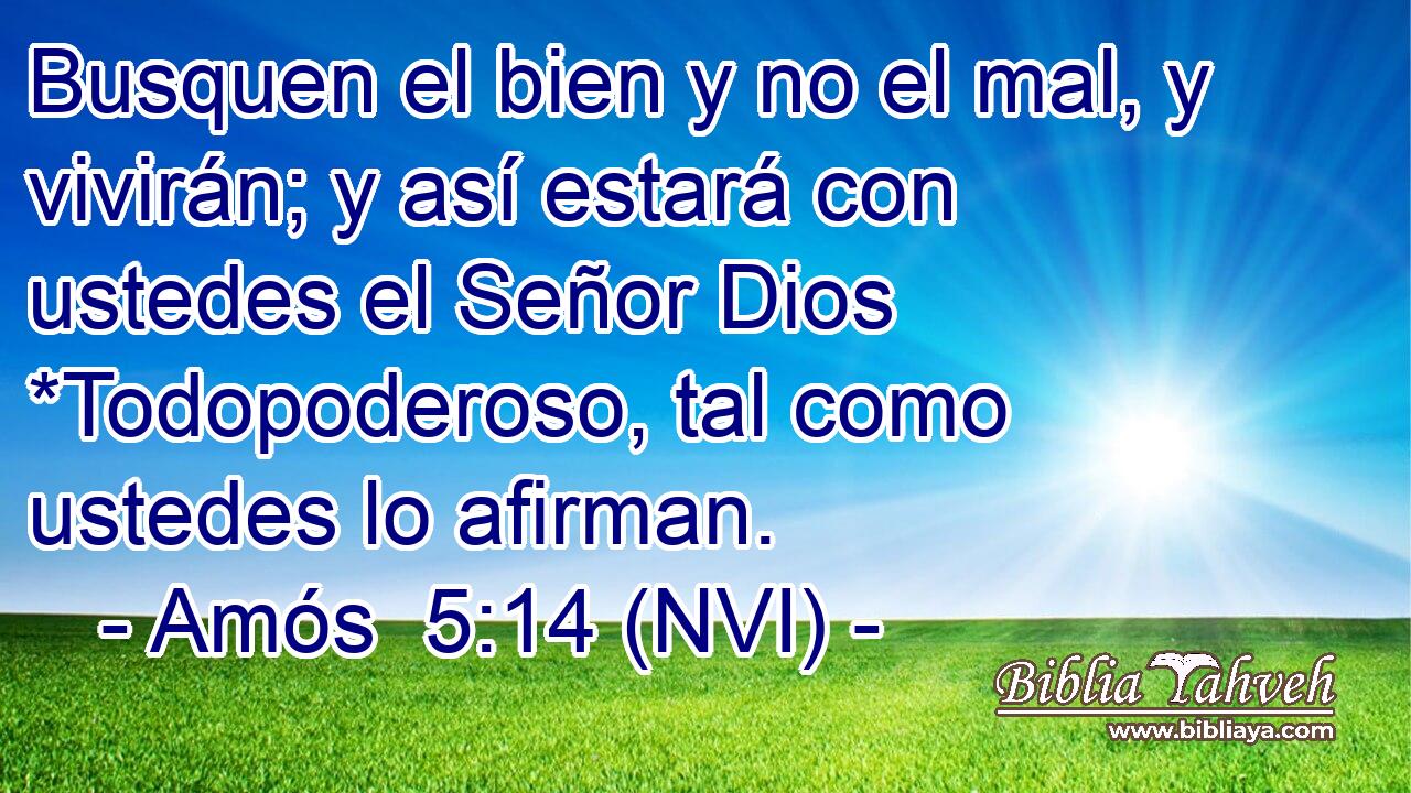  Busquen el bien y no el mal, y vivirán; y así estará con ustedes el Señor Dios *Todopoderoso, tal como ustedes lo afirman. 