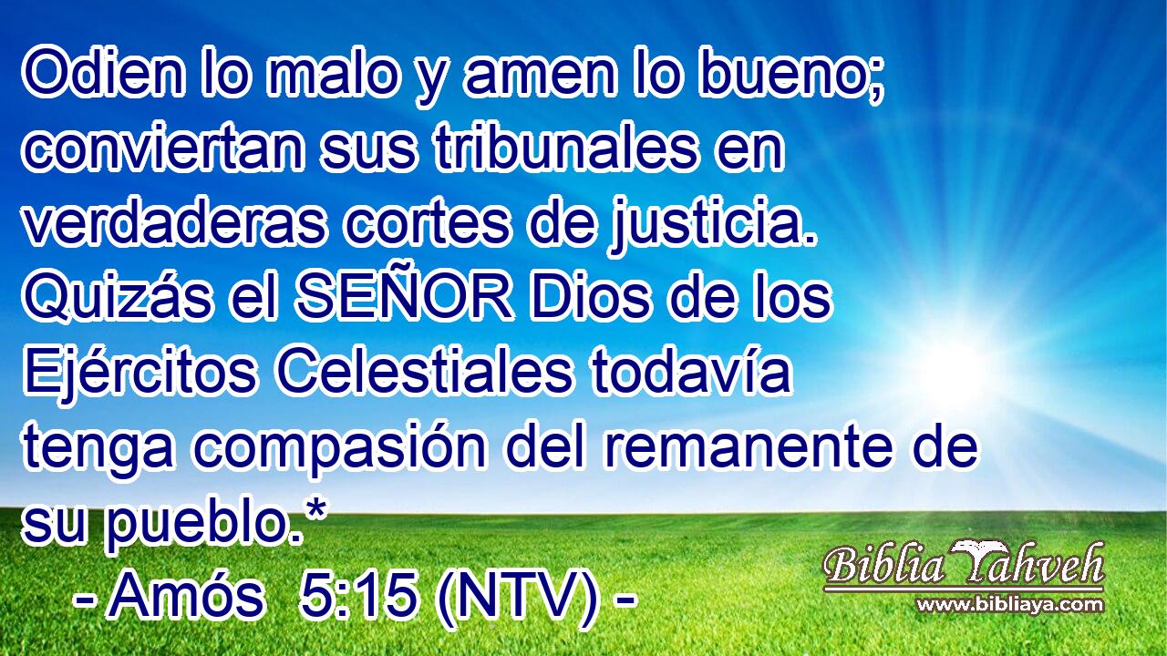 Odien lo malo y amen lo bueno; conviertan sus tribunales en verdaderas cortes de justicia. Quizás el SEÑOR Dios de los Ejércitos Celestiales todavía tenga compasión del remanente de su pueblo.*