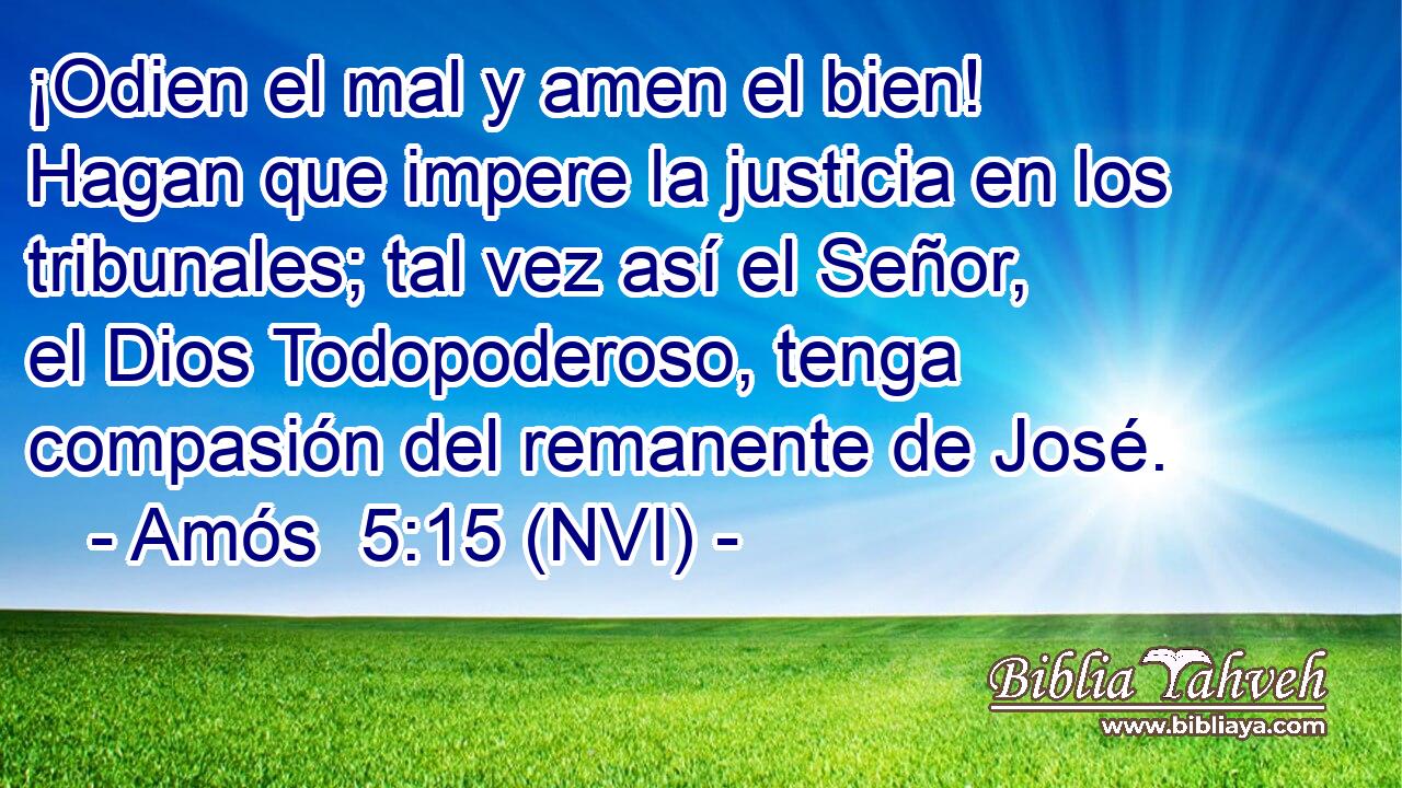  ¡Odien el mal y amen el bien! Hagan que impere la justicia en los tribunales; tal vez así el Señor, el Dios Todopoderoso, tenga compasión del remanente de José. 