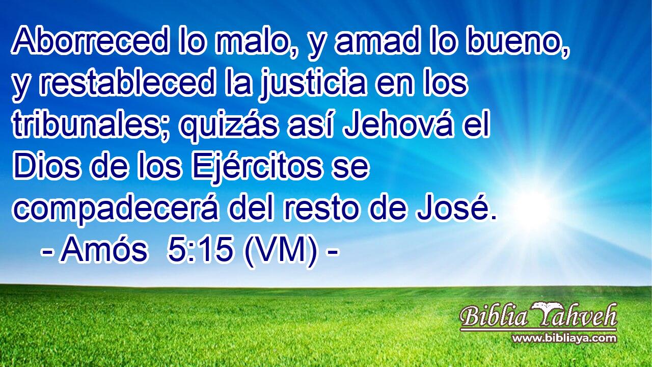  Aborreced lo malo, y amad lo bueno, y restableced la justicia en los tribunales; quizás así Jehová el Dios de los Ejércitos se compadecerá del resto de José. 