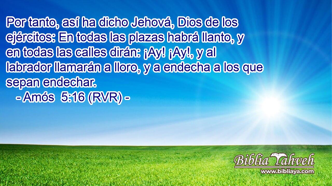 Por tanto, así ha dicho Jehová, Dios de los ejércitos: En todas las plazas habrá llanto, y en todas las calles dirán: ¡Ay! ¡Ay!, y al labrador llamarán a lloro, y a endecha a los que sepan endechar.