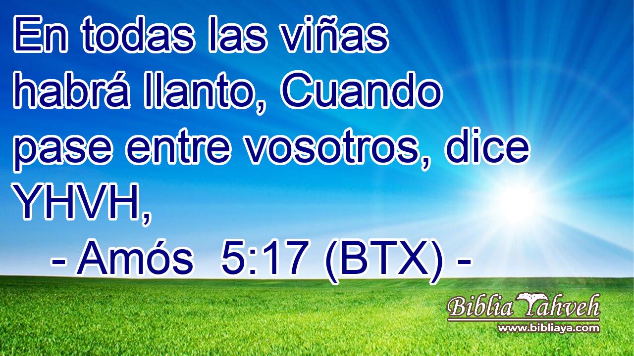 En todas las viñas habrá llanto, Cuando pase entre vosotros, dice YHVH,