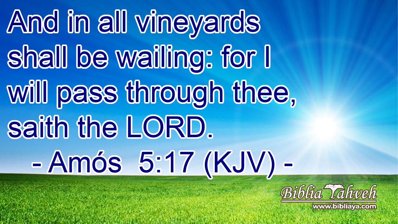 And in all vineyards shall be wailing: for I will pass through thee, saith the LORD.
