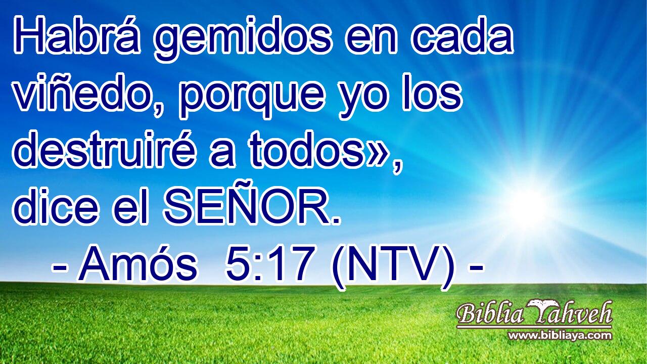 Habrá gemidos en cada viñedo, porque yo los destruiré a todos», dice el SEÑOR.