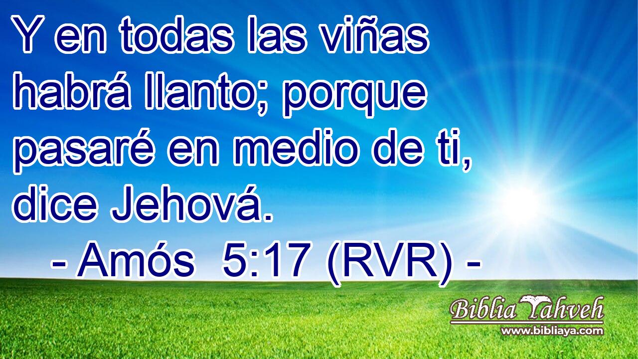 Y en todas las viñas habrá llanto; porque pasaré en medio de ti, dice Jehová.