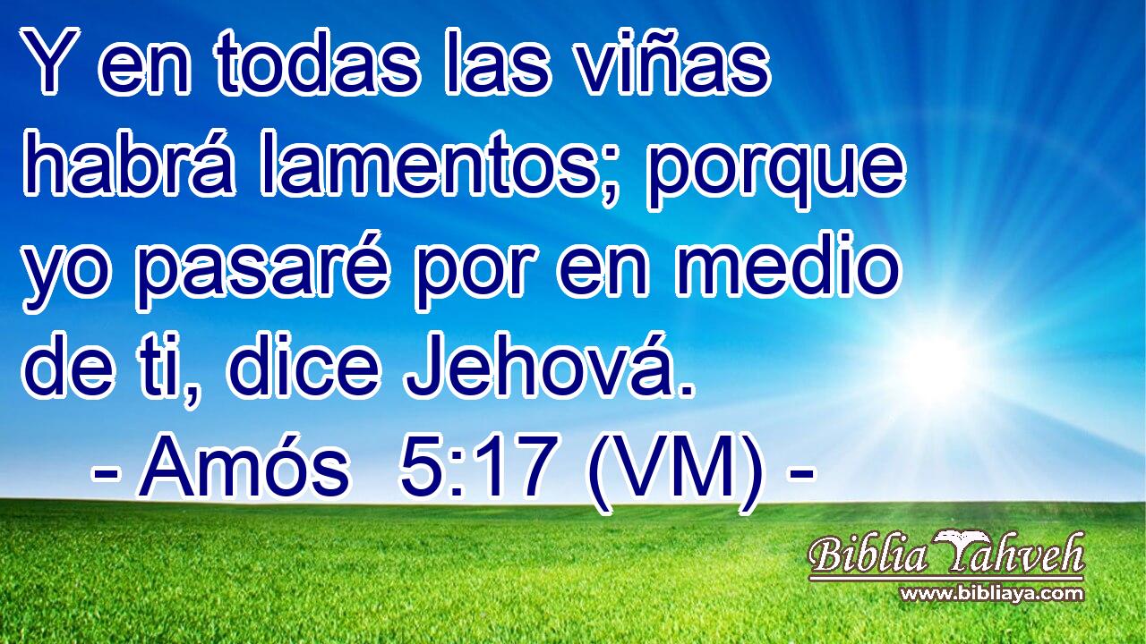  Y en todas las viñas habrá lamentos; porque yo pasaré por en medio de ti, dice Jehová. 