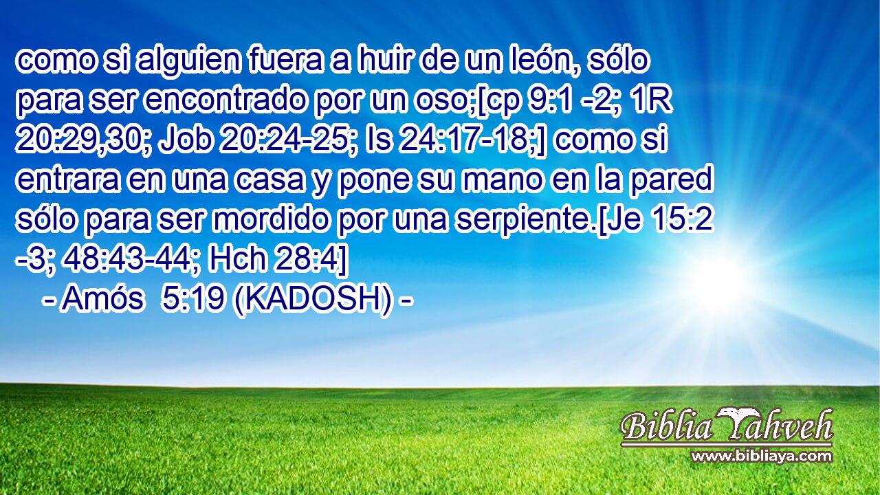  como si alguien fuera a huir de un león, sólo para ser encontrado por un oso;[cp 9:1 -2; 1R 20:29,30; Job 20:24-25; Is 24:17-18;] como si entrara en una casa y pone su mano en la pared sólo para ser mordido por una serpiente.[Je 15:2 -3; 48:43-44; Hch 28:4] 