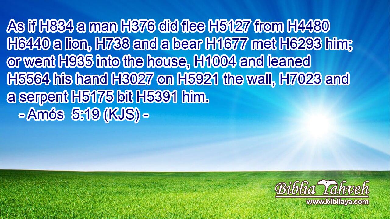 As if H834 a man H376 did flee H5127 from H4480  H6440 a lion, H738 and a bear H1677 met H6293 him; or went H935 into the house, H1004 and leaned H5564 his hand H3027 on H5921 the wall, H7023 and a serpent H5175 bit H5391 him.