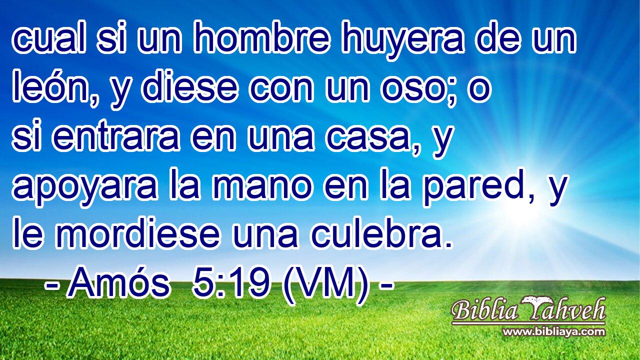  cual si un hombre huyera de un león, y diese con un oso; o si entrara en una casa, y apoyara la mano en la pared, y le mordiese una culebra. 