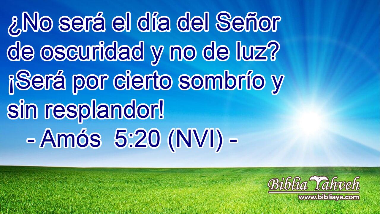  ¿No será el día del Señor de oscuridad y no de luz? ¡Será por cierto sombrío y sin resplandor! 
