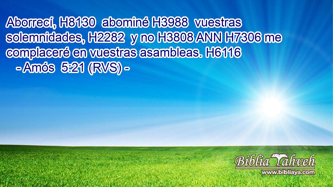 Aborrecí, H8130  abominé H3988  vuestras solemnidades, H2282  y no H3808 ANN H7306 me complaceré en vuestras asambleas. H6116  