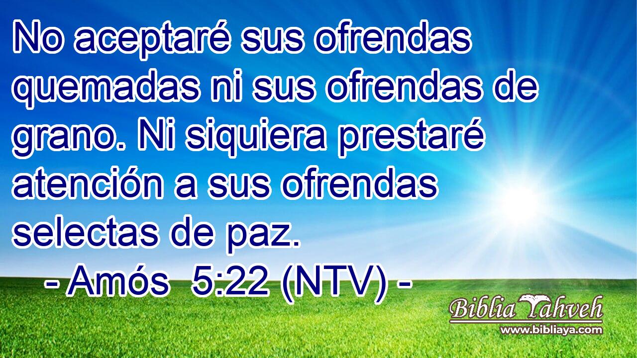 No aceptaré sus ofrendas quemadas ni sus ofrendas de grano. Ni siquiera prestaré atención a sus ofrendas selectas de paz.