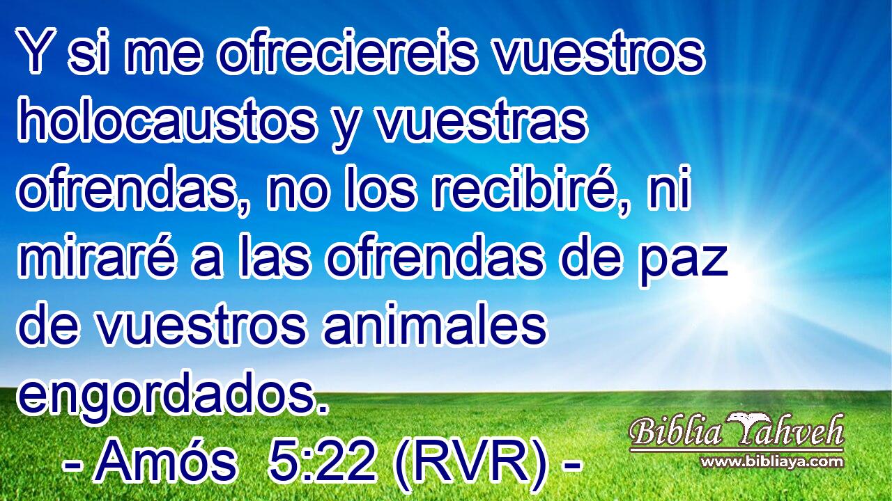 Y si me ofreciereis vuestros holocaustos y vuestras ofrendas, no los recibiré, ni miraré a las ofrendas de paz de vuestros animales engordados.