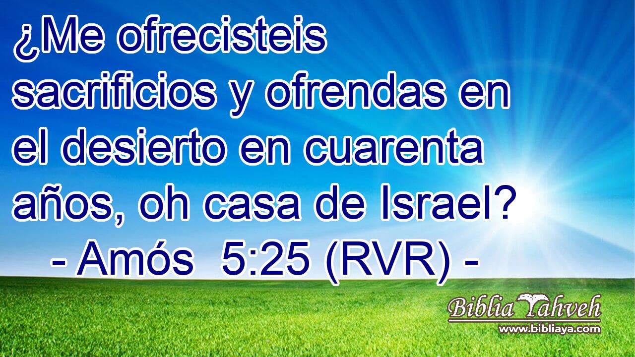 ¿Me ofrecisteis sacrificios y ofrendas en el desierto en cuarenta años, oh casa de Israel?