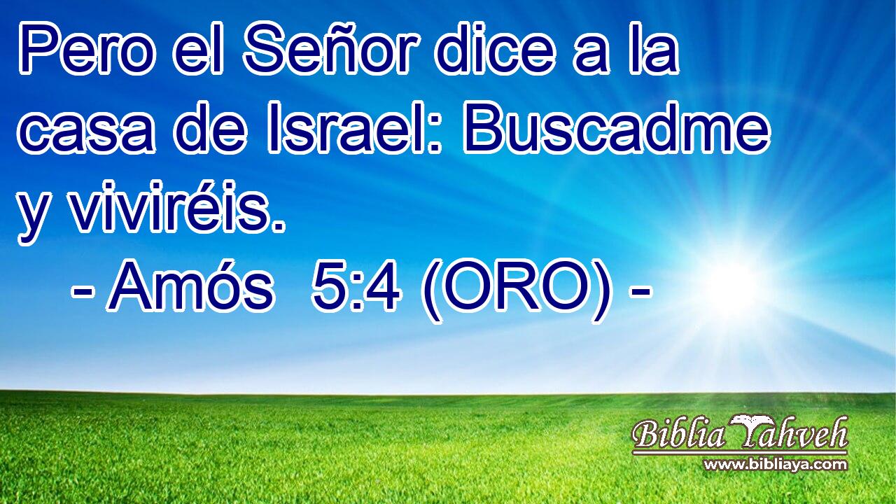  Pero el Señor dice a la casa de Israel: Buscadme y viviréis. 