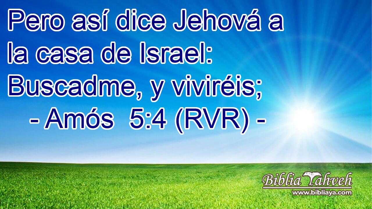 Pero así dice Jehová a la casa de Israel: Buscadme, y viviréis;